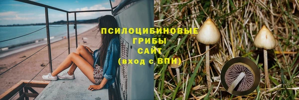 эйфоретик Алексеевка