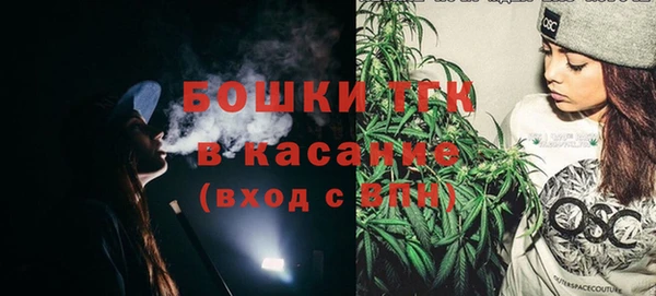 твердый Алзамай
