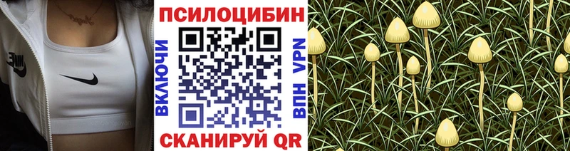 hydra ТОР  Лобня  Галлюциногенные грибы мухоморы 